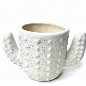 White Cactus Pot